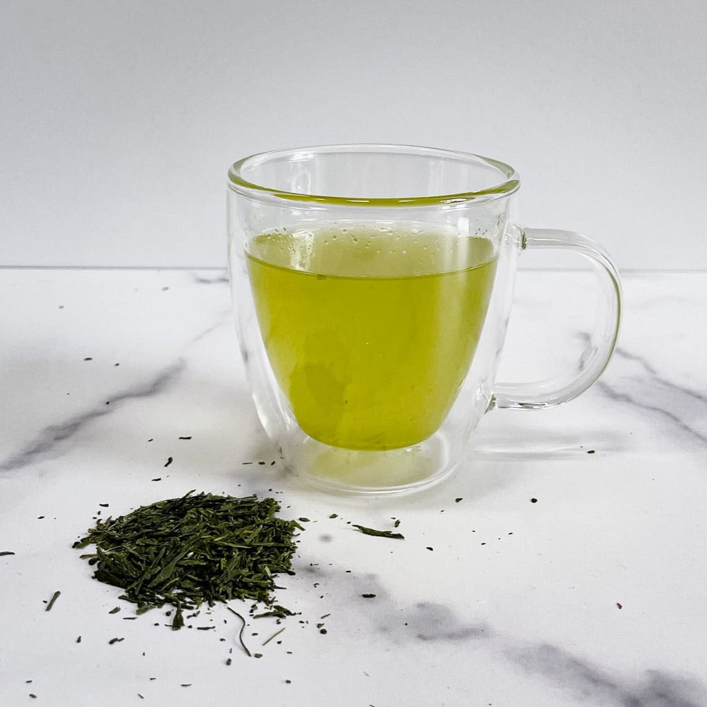 Svelte Sencha